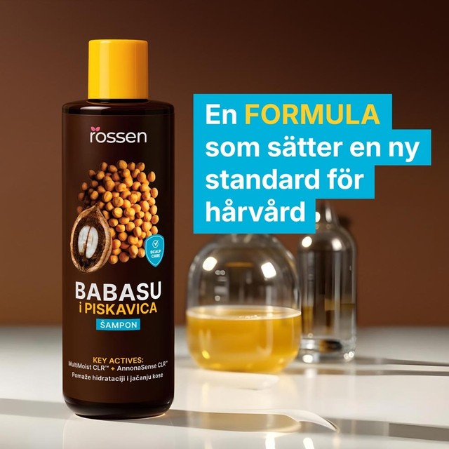 PISKAVICA-Å AMPON-slajd-2