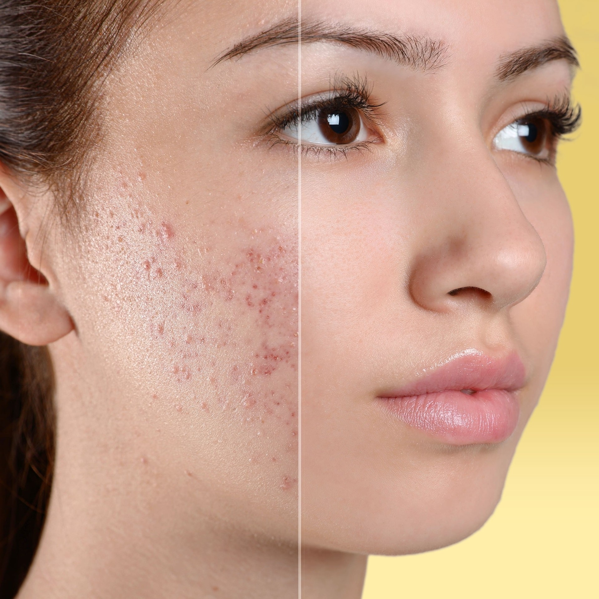 9790dc49-6778-4704-9289-619b9c156649